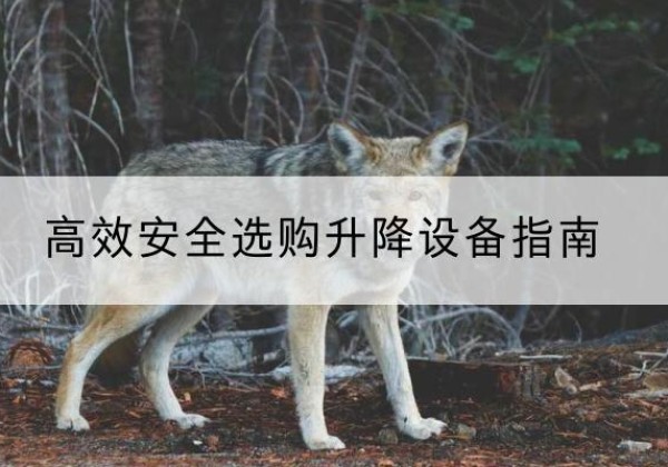 阳西升降货梯厂家推荐-*安全选购升降设备指南