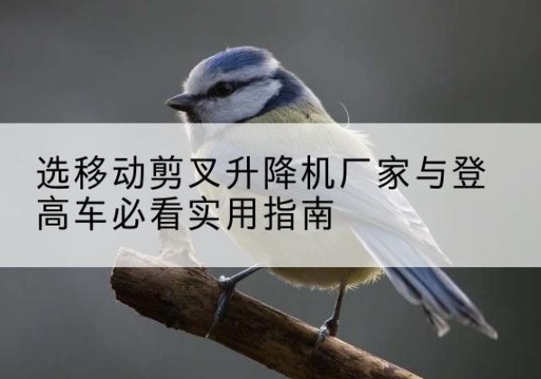 阳西电动升降机厂家-选移动剪叉升降机厂家与登高车必看实用指南