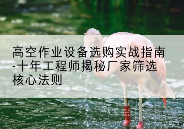 阳西剪叉式升降机厂家-高空作业设备选购实战指南-十年工程师揭秘厂家筛选核心法则